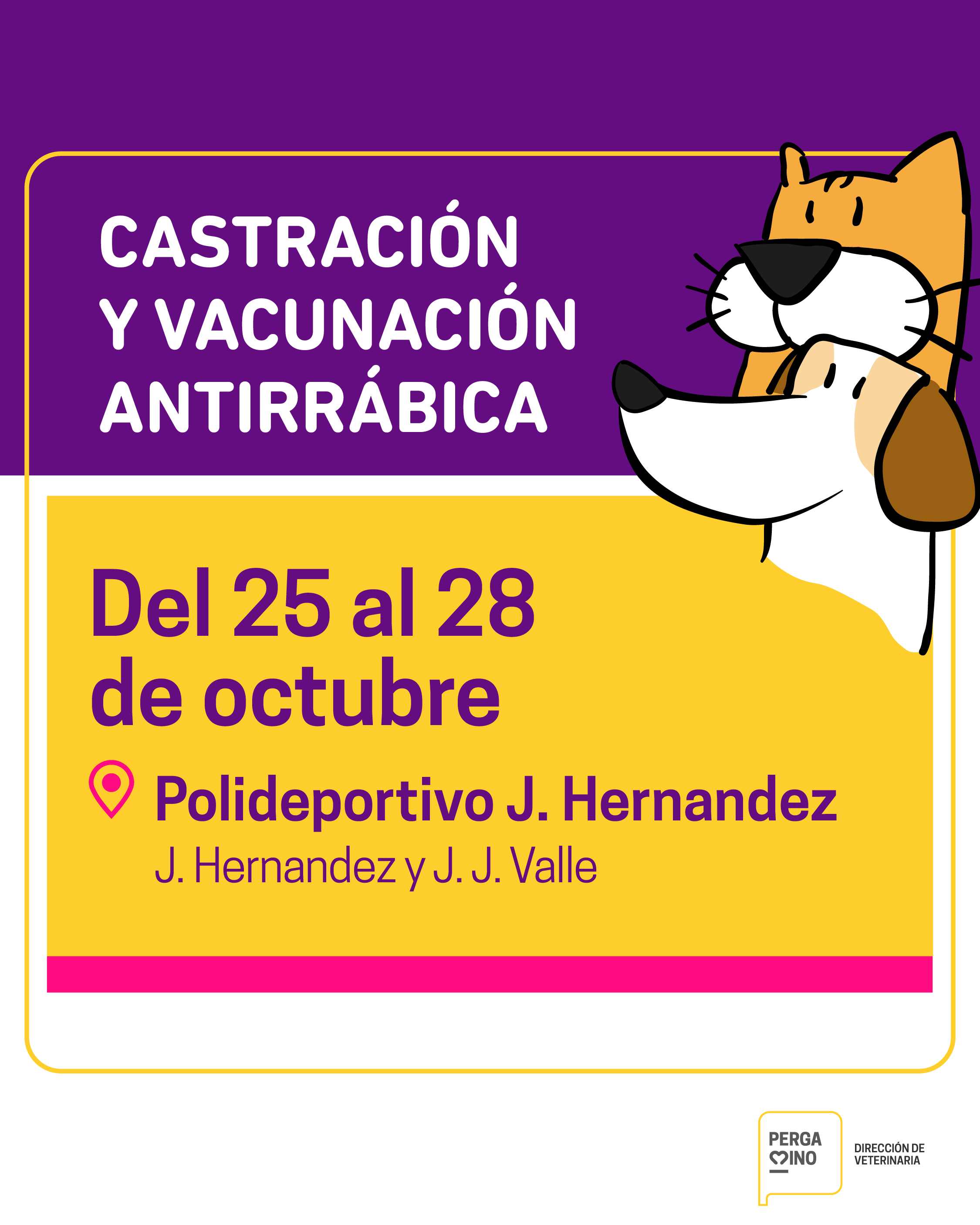 veterinaria castracion 25 al 28 octubre